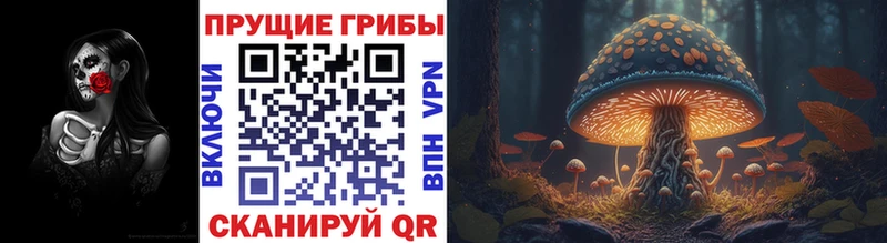 Псилоцибиновые грибы Psilocybe Цимлянск